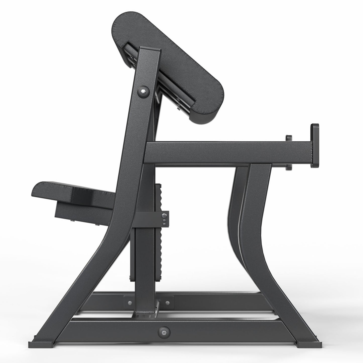 Banca Bicep Curl VOID