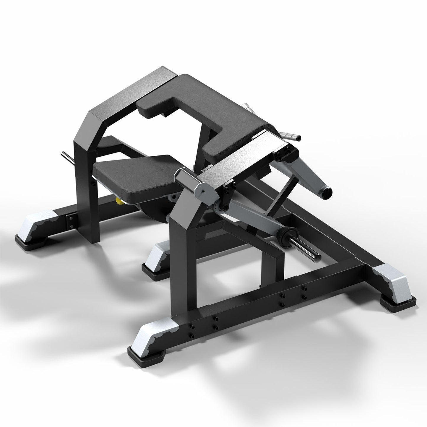 Bicep Curl VOID Performance