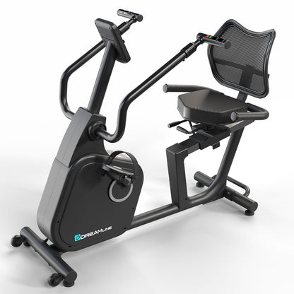 Bicicleta reclinada Ten Series Dreamline R1