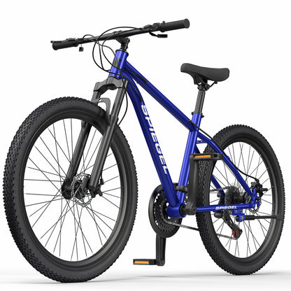 Bicicleta Mountain Bike Spiegel Azul Aro 29 - Reacondicionada
