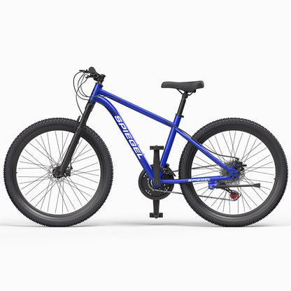 Bicicleta Mountain Bike Spiegel Azul Aro 29 - Reacondicionada