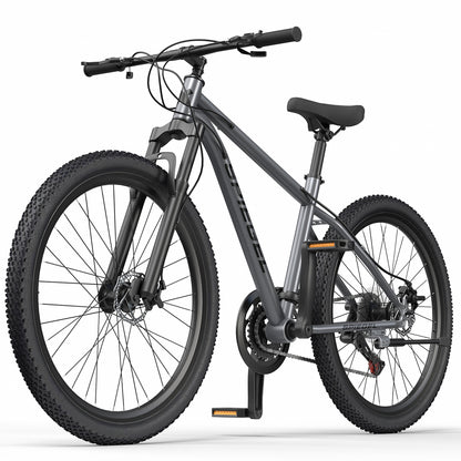 Bicicleta Mountain Bike Spiegel Aro 29