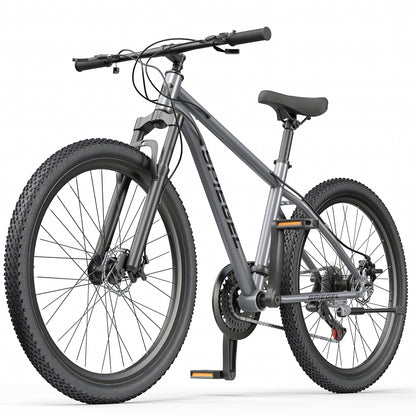Bicicleta Mountain Bike Spiegel Gris Aro 29 - Reacondicionada