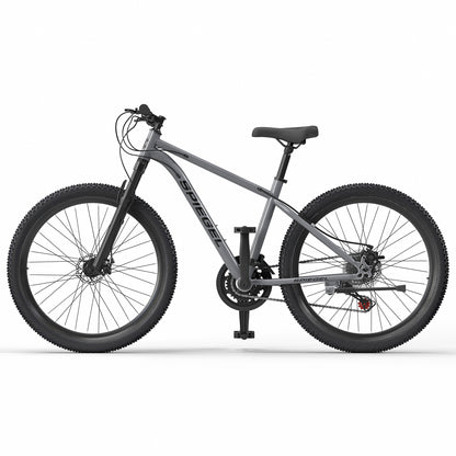 Bicicleta Mountain Bike Spiegel Aro 29