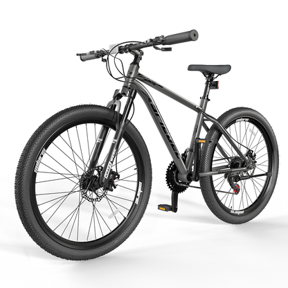 Bicicleta Spiegel Aro 29 Daytona 300 Obsidian Gray