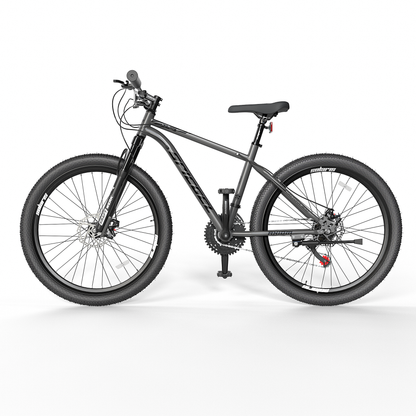 Bicicleta Spiegel Aro 29 Daytona 300 Obsidian Gray