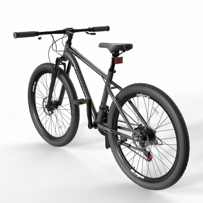Bicicleta Spiegel Aro 29 Daytona 300 Obsidian Gray