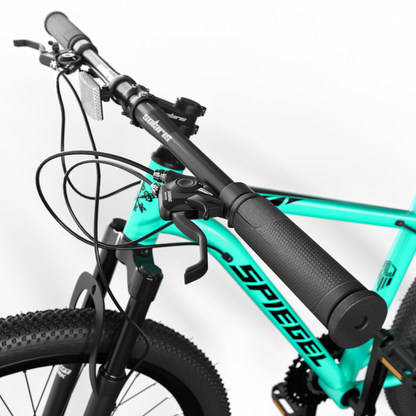 Bicicleta Spiegel Aro 29 Daytona 300 Beach Green