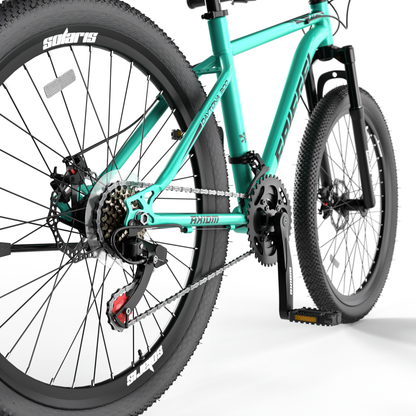 Bicicleta Spiegel Aro 29 Daytona 300 Beach Green